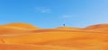 One person on top of beautiful red desert dunes. Tourist exploring alone desert in Dubai Ã¢â¬â Discover Earth concept panorama Ã¢â¬â